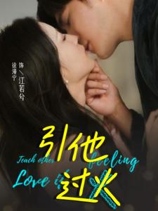 【引他过火（40集）】免费短剧全集一网打尽-第1张图片-热搜短剧最新分享