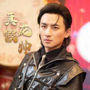 【真假龙帅（81集）】免费短剧全集任你赏-第1张图片-热搜短剧最新分享