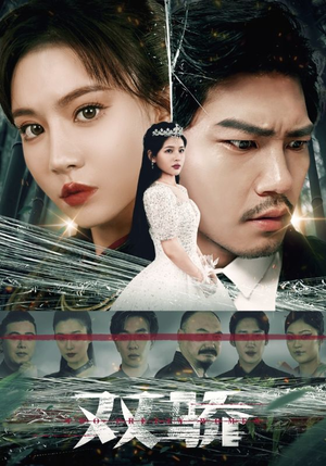 【双骄（66集）】短剧全集免费在线快速看-第1张图片-热搜短剧最新分享