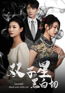 【双子星黑白切（82集）】在线短剧全集免费畅看-第1张图片-热搜短剧最新分享