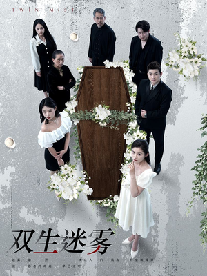 【双生迷雾（80集）】精彩短剧在线播放无缓冲-第1张图片-热搜短剧最新分享