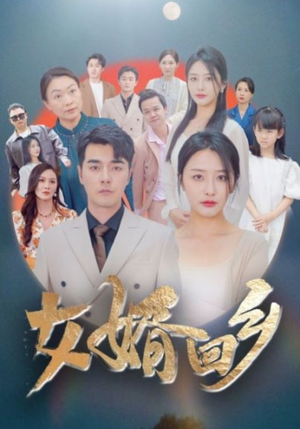 【女婿回乡（120集）】免费短剧在线看全集版-第1张图片-热搜短剧最新分享