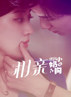 【相亲遇到小奶狗（80集）】精彩短剧全集在线速看-第1张图片-热搜短剧最新分享