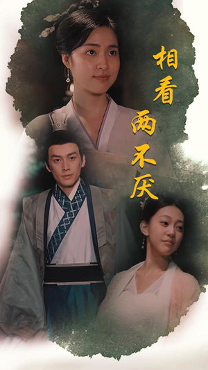 【这个王妃不好惹（85集）】短剧全集免费在线直看-第1张图片-热搜短剧最新分享