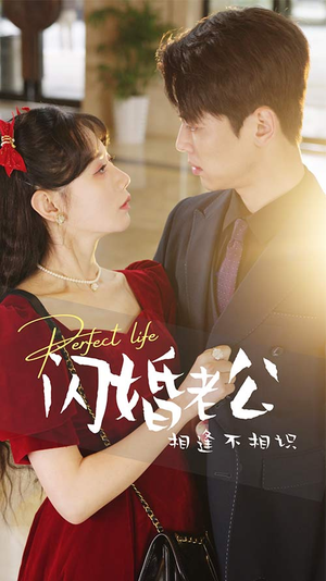 【闪婚老公相逢不相识（90集）】在线短剧免费看全篇章-第1张图片-热搜短剧最新分享