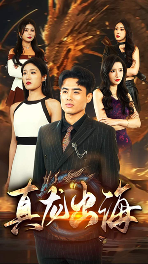 【真龙出海（80集）】在线短剧免费全集欣赏-第1张图片-热搜短剧最新分享