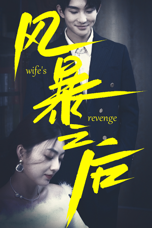 【风暴之后（80集）】爆款短剧无广告在线追-第1张图片-热搜短剧最新分享