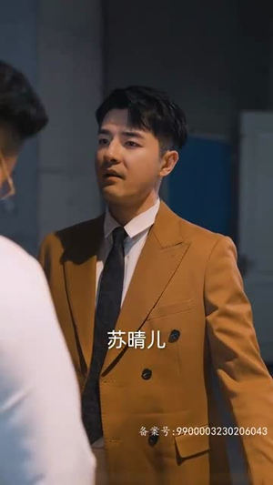 【狂飙之惹不起的奶爸（99集）】全集短剧免费畅快览-第1张图片-热搜短剧最新分享