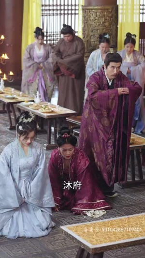 【绝世萌宝：穿回古代当王妃（95集）】短剧超清全集免费观赏-第1张图片-热搜短剧最新分享