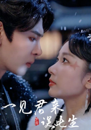 【一见君来误此生（95集）】免费短剧完整版在线看-第1张图片-热搜短剧最新分享