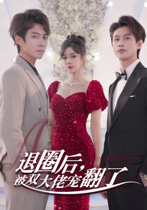 【退圈后，被双大佬宠翻了（78集）】短剧完整版免费在线看-第1张图片-热搜短剧最新分享