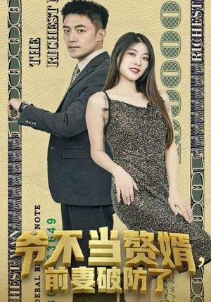 【爷不当赘婿，前妻破防了（80集）】精彩短剧全集免费播放-第1张图片-热搜短剧最新分享