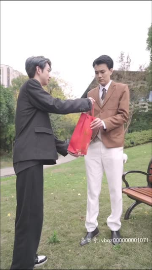 【绝世少主之重回巅峰（95集）】短剧全集高清免费播放-第1张图片-热搜短剧最新分享