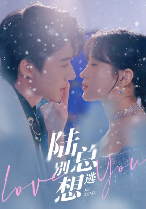 【陆总别想逃（80集）】短剧全集无删减观看-第1张图片-热搜短剧最新分享