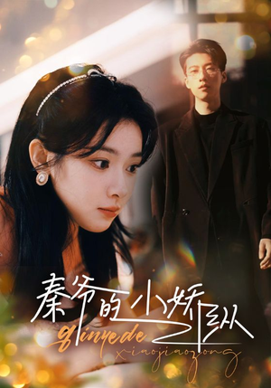 【秦爷的小娇纵（96集）】短剧完整版免费观看-第1张图片-热搜短剧最新分享