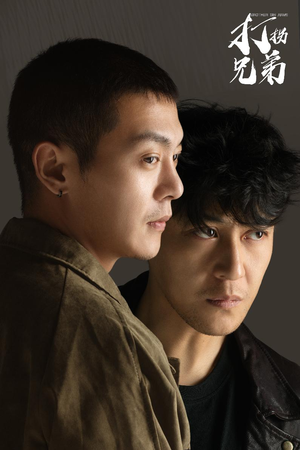 【打拐兄弟（30集）】短剧免费全集畅快看-第1张图片-热搜短剧最新分享