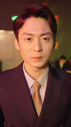 【玻璃鞋上的独舞（90集）】优质短剧在线免费完整看-第1张图片-热搜短剧最新分享