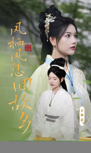 【凤栖凤息回故乡（36集）】短剧高清全集免费欣赏-第1张图片-热搜短剧最新分享