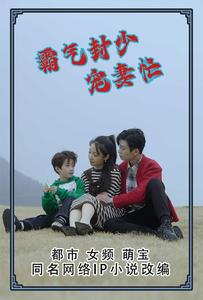 【霸气封少宠妻忙（80集）】短剧全集免费播放-第1张图片-热搜短剧最新分享