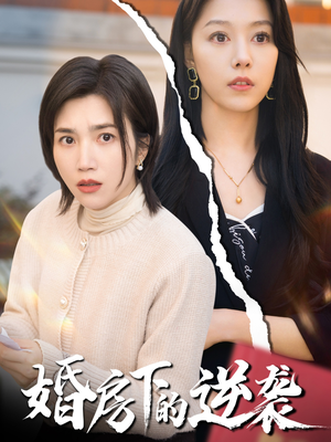 【婚房下的逆袭（38集）】在线短剧完整版免费看-第1张图片-热搜短剧最新分享