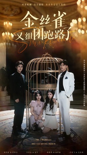 【金丝雀又组团跑路了（长篇）】短剧免费看全集不卡-第1张图片-热搜短剧最新分享