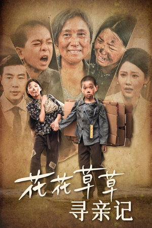 【花花草草寻亲记（42集）】免费短剧完整高清在线观-第1张图片-热搜短剧最新分享