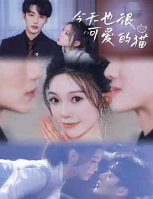 【今天也很可爱的猫（72集）】全集短剧高清在线播-第1张图片-热搜短剧最新分享