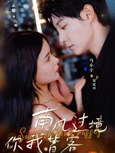 【南风国境你我皆客（80集）】短剧全集免费在线追完-第1张图片-热搜短剧最新分享