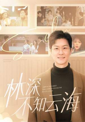 【林深不知云海（84集）】精彩短剧一网打尽畅看-第1张图片-热搜短剧最新分享