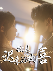 【你是迟来的欢喜（78集）】免费短剧一集不落追完-第1张图片-热搜短剧最新分享