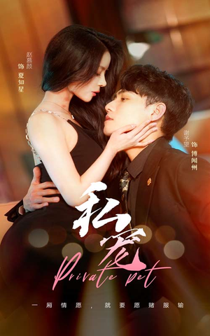 【私宠（94集）】在线免费看短剧完整版-第1张图片-热搜短剧最新分享