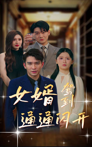 【女婿驾到，通通闪开（34集）】精彩短剧在线免费播放-第1张图片-热搜短剧最新分享