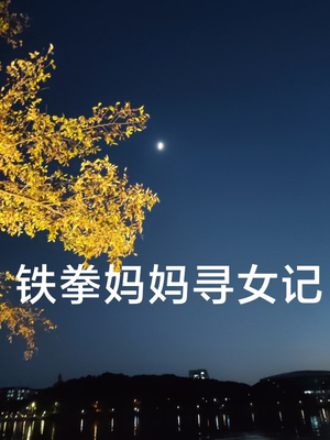 【铁拳妈妈寻女记（69集）】短剧全集免费在线追剧-第1张图片-热搜短剧最新分享