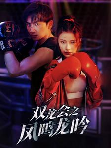 【双龙会之凤鸣龙吟（80集）】短剧全集高清免费享-第1张图片-热搜短剧最新分享