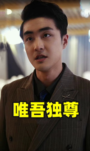 【唯吾独尊（96集）】免费高清短剧在线追-第1张图片-热搜短剧最新分享