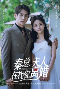 【秦总，夫人在找你离婚（79集）】热门短剧免费在线赏-第1张图片-热搜短剧最新分享