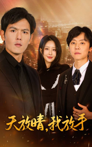 【天放晴，我放手（35集）】热门短剧免费高清观看-第1张图片-热搜短剧最新分享