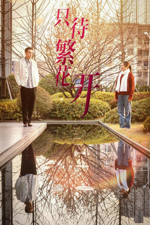 【只待繁花开（35集）】免费畅享短剧全集盛宴-第1张图片-热搜短剧最新分享