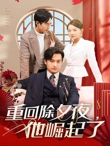 【重回除夕夜他崛起了（89集）】爆款短剧免费畅享全集-第1张图片-热搜短剧最新分享