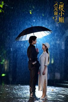 【又见面了楼小姐（68集）】全网独播短剧在线畅享-第1张图片-热搜短剧最新分享