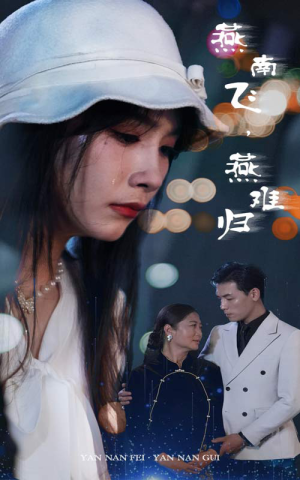 【燕南飞，燕难归（31集）】精彩短剧免费全集速看-第1张图片-热搜短剧最新分享