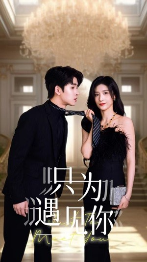 【只为遇见你（88集）】精彩短剧不间断在线播-第1张图片-热搜短剧最新分享