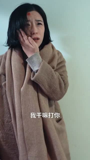 【命中注定再相逢（39集）】高清短剧全集免费享-第1张图片-热搜短剧最新分享