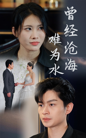 【曾经沧海难为水（30集）】短剧免费全集流畅播放-第1张图片-热搜短剧最新分享