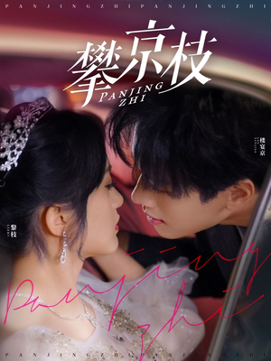 【攀京枝（80集）】短剧热播中免费追全集-第1张图片-热搜短剧最新分享