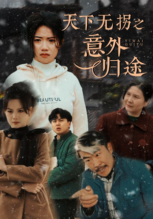 【天下无拐之意外归途（61集）】在线短剧免费完整观看-第1张图片-热搜短剧最新分享