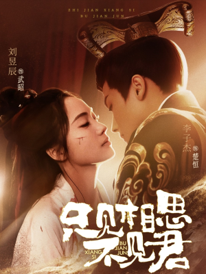 【只见相思不见君（82集）】免费短剧在线高清播放-第1张图片-热搜短剧最新分享