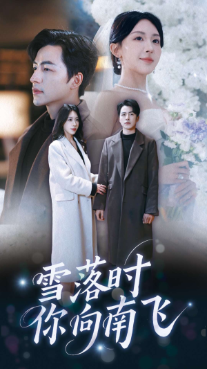 【雪落时你向南飞（34集）】免费短剧全集畅快追-第1张图片-热搜短剧最新分享
