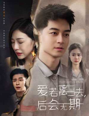 【爱若离去，后会无期（70集）】免费短剧全集一键看-第1张图片-热搜短剧最新分享