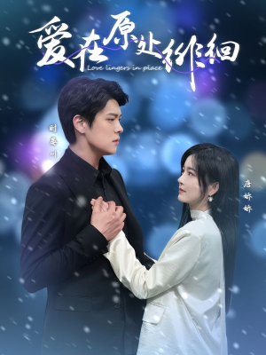 【爱在原处徘徊（30集）】短剧高清全集免费享-第1张图片-热搜短剧最新分享